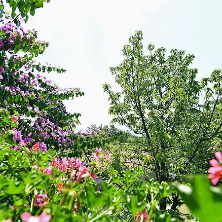 Bed and breakfast With Breakfast & Valentin 3*